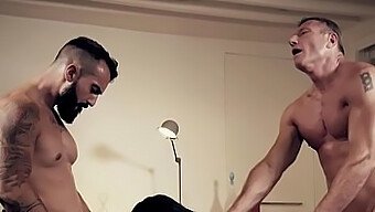 The Sexiest Adult Male Performers In A Threesome Scene